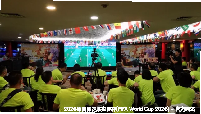 FIFA 中国平台介绍